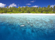 Filitheyo Resort reef snorkeling