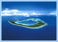 オープンハートのツパイ島