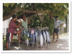 釣った魚を売る漁師（ボラボラ）